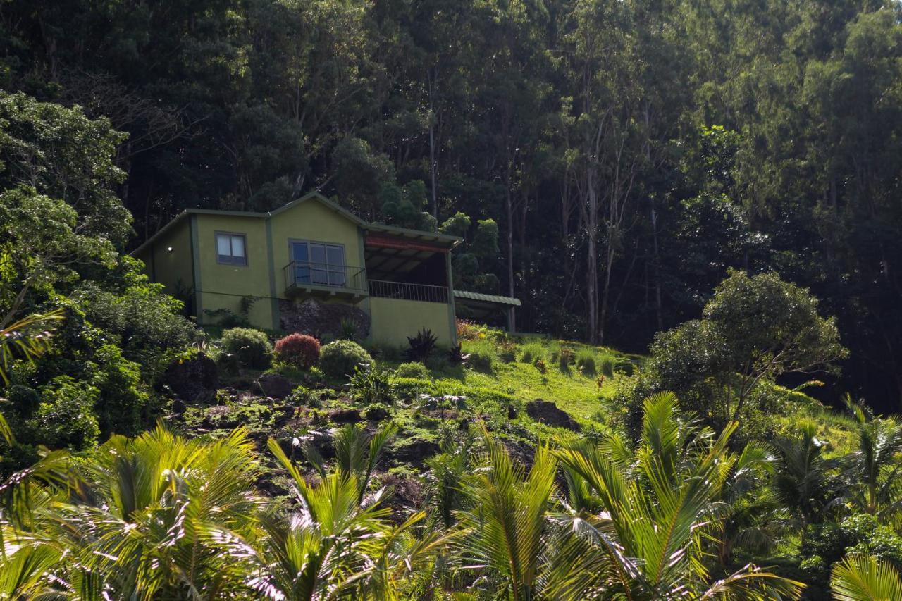 The Green Shack Quatre Soeurs 外观 照片