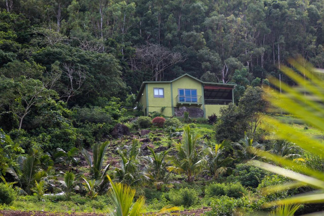 The Green Shack Quatre Soeurs 外观 照片